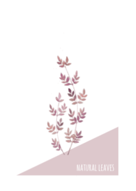 Simple natural leaves