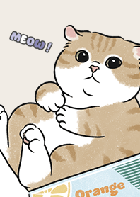 neko single16 / beige