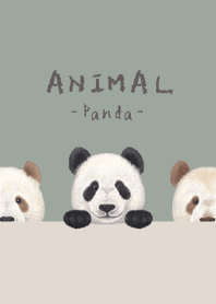 ANIMAL - Panda - GREEN GRAY