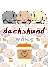 dachshund theme9 gray white