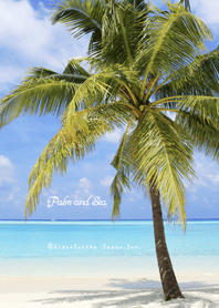 Palm and Sea