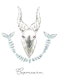 STARRY SKY -Capricorn-