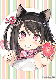 Kantoku Pink grapefruit from Japan