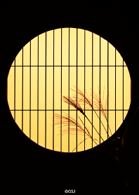 Beautiful autumn moon in Japan