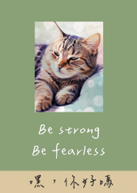 topic48/cat/Beige 03/cute/sleepy/kitten