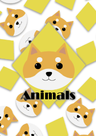 Animals -Shiba Inu-