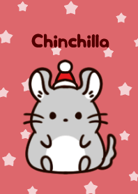 Christmas and Chinchilla.