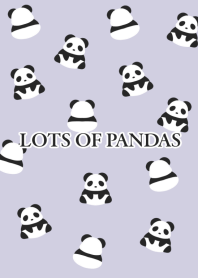 LOTS OF PANDASj-PURPLE BEIGE