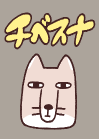 着せ替え！チベットスナギツネ