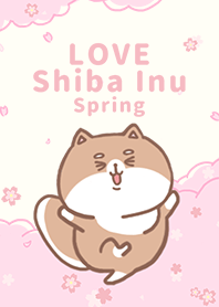 misty cat-Shiba Inu spring
