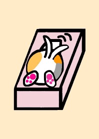 Tissue case cat.Pretty-butt.Light beige1