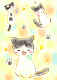 Bangs cute cat 'Hime-chan'