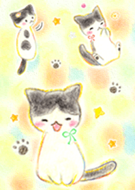猫のひめちゃん