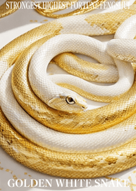 White snake  Lucky 2