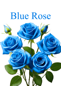 "Blue Rose vol.6" theme
