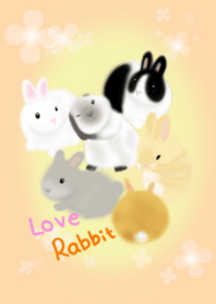 Love lovely rabbit.