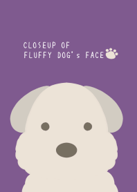 CLOSEUP OF FLUFFY DOG's FACE/DEEP PURPLE