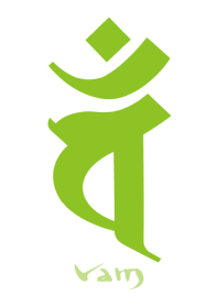 BONJI zodiac [vaM] WHITE GREEN (0931