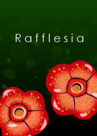 Rafflesia