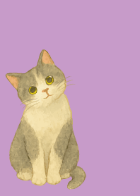 Cat tilting its head2 on lightpurple