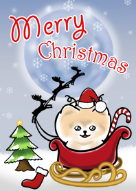 เมอร์รี่คริสต์มาส กับเจ้ากิมจิ
