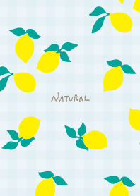 Lemon plaid pattern from Japan