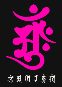 BONJI [aMH] BLACK PINK (0640