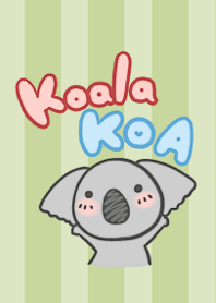 無尾熊 KOA