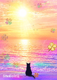 A fantastical sunset and a black cat