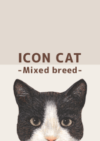 ICON CAT - Mixed breed cat - BROWN/03