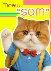 The "Meaw SOM" theme is here!