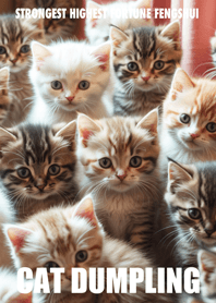 Cat dumpling 27