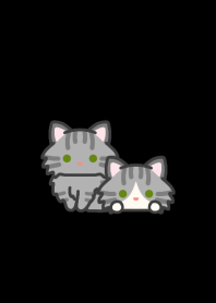 Silver Tabby Cat*darkmode*long-haired*