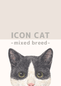 ICON CAT - Mixed breed cat - BEIGE/09
