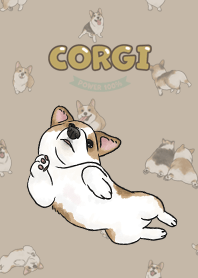 corgicorgi8 - dark tan