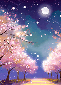 Beautiful night cherry blossoms#1262