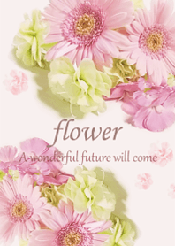 Happy gerbera flower9.