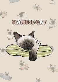 siamesecats4 / almond