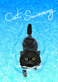 Cat Swimming : 4