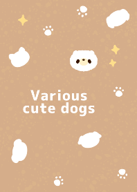 Various cute dogs♪