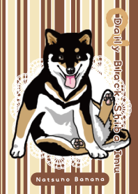 毎日黒柴くろしば 2