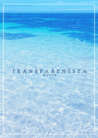 TRANSPARENT SEA-LOVE HAWAII 11