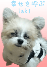 幸せを呼ぶ❤laki