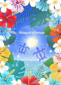 幸運が舞い込む♡きらめく海