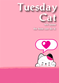 Tuesday cat
