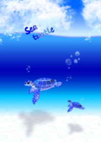 sea turtles (summer, ocean)