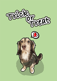 Dachshund century-egg soldier