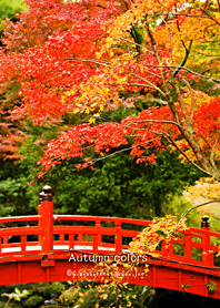 Autumn Colors