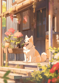 可愛的柴犬與他的家