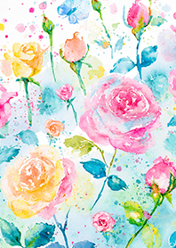 Beautiful rose flower(R4448)